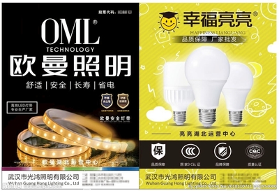 照明产品宣传单页设计 点亮空间，传递价值