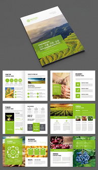 农产品物流 现代化流通体系的关键支撑